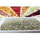 Oregano